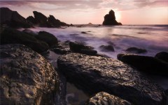 Obraz na stenu ZS - bez pomeru strán