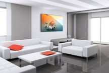 Obraz Mušľa na pláži zs3223