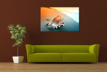 Obraz Mušľa na pláži zs3223