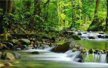 Príroda - Obraz na stenu zs3224