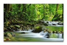 Príroda - Obraz na stenu zs3224