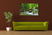 Príroda - Obraz na stenu zs3224