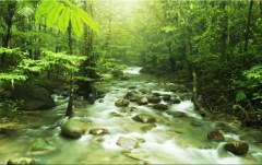 Obraz na stenu ZS - bez pomeru strán