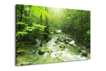 Obraz Príroda - Les zs3227