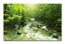 Obraz Príroda - Les zs3227