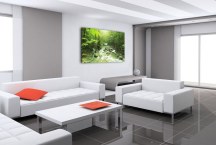 Obraz Príroda - Les zs3227