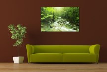 Obraz Príroda - Les zs3227