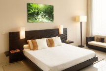 Obraz Príroda - Les zs3227