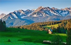 Obraz na stenu ZS - bez pomeru strán