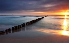 Obraz na stenu ZS - bez pomeru strán