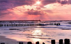 Obraz na stenu ZS - bez pomeru strán