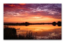 Obraz Západ slnka nad Sawhill Ponds zs3239