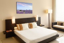 Obraz Provensalsko - Levanduľové pole zs3240