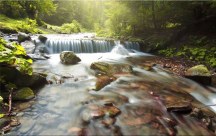 Obrazy Prírody - Potok zs3241