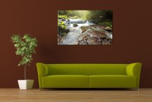 Obrazy Prírody - Potok zs3241