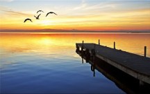 Obrazy Prírody - Mólo zs3242