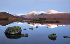 Obraz na stenu ZS - bez pomeru strán