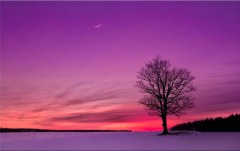 Obraz na stenu ZS - bez pomeru strán