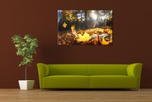 Obraz Jesenné lístie zs324