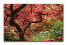 Stromy - Obrazy zs3250