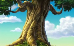 Obraz na stenu ZS - bez pomeru strán