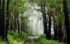 Obraz na stenu ZS - bez pomeru strán