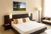 Stromy - Fotoobrazy zs3253