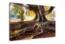 Fotoobraz - Príroda zs3256