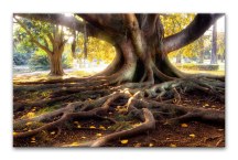 Fotoobraz - Príroda zs3256