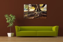 Fotoobraz - Príroda zs3256