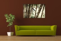 Bambus - Obraz na stenu zs3257