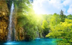 Obraz na stenu ZS - bez pomeru strán