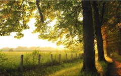 Obraz na stenu ZS - bez pomeru strán