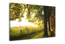 Obrazy Príroda zs3260