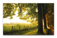 Obrazy Príroda zs3260