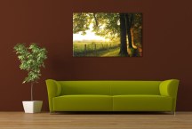 Obrazy Príroda zs3260