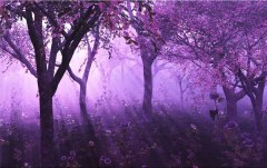 Obraz na stenu ZS - bez pomeru strán