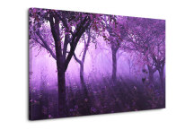 Fialové obrazy - Les zs3263