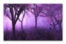 Fialové obrazy - Les zs3263