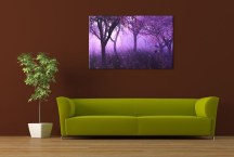 Fialové obrazy - Les zs3263