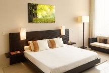 Obraz - Príroda zs3264