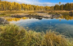 Obraz na stenu ZS - bez pomeru strán