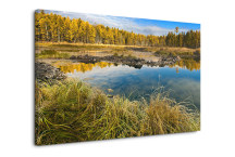 Príroda - Obrazy zs3265