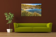 Príroda - Obrazy zs3265