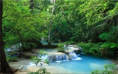 Obraz na stenu ZS - bez pomeru strán