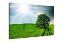 Príroda - Fotoobrazy zs3267