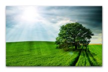 Príroda - Fotoobrazy zs3267