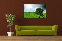 Príroda - Fotoobrazy zs3267