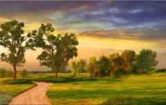 Obraz na stenu ZS - bez pomeru strán