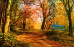 Obraz na stenu ZS - bez pomeru strán